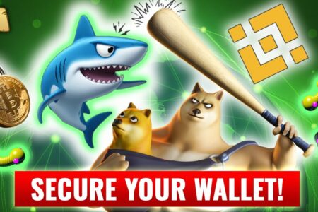 Digital Sharks: Everything About Crypto Security
