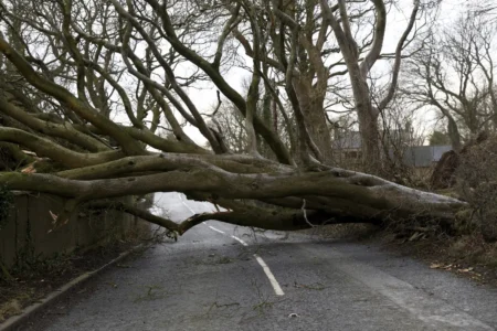 Ireland battered by record winds from Storm Eowyn